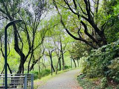 -上海吴淞炮台湾国家湿地公园