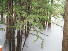-东湖落雁景区