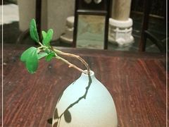 -晶采轩(虹桥路店)