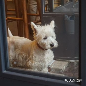 总之很惬意~这篇电视不写食物，送给珍珠