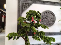 -呼吸森林·生态农庄农家乐私房菜