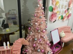-Lab Season惜辰颜究社