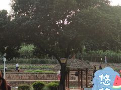-天河儿童公园