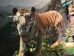 -陕西自然博物馆