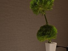 -张福记(五一公园店)