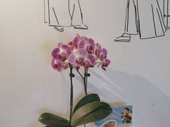 -紫腾大院·南京菜(江宁店)