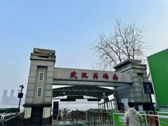 -武汉关码头(轮渡站)