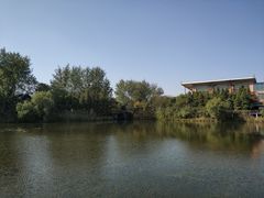 -溱湖国家湿地公园