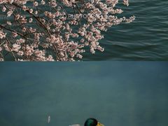 -颐和园