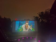 -枫花园汽车电影院(朝阳公园店)