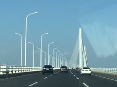 -崇明东平国家森林公园烧烤房车露营地