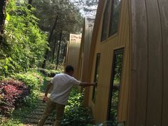 -铁山坪森林公园