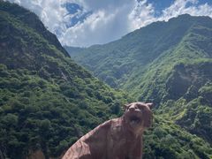 -丽江虎跳峡景区-售票处