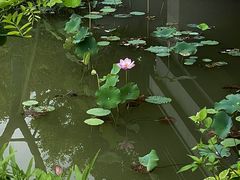 -横山水库
