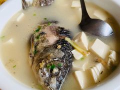 野生鲫鱼豆腐汤-上海老范农家乐(崇明前卫村店)