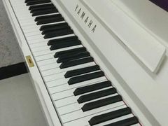 -弘智卉艺术教育/高端琴房(中央音乐学院店)