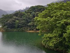 -佛山市三水区大南山森林公园