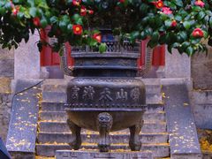 -青岛崂山太清宫