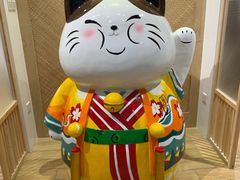 -屋虎猫馆(宝安大仟里店)