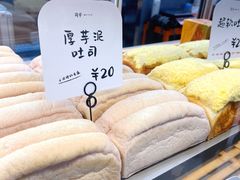 -司乎(大洋百货店)