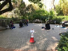 -九龙公园
