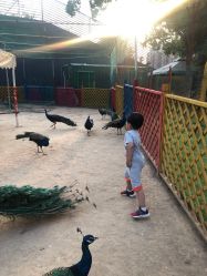 -萌宠亲子动物乐园(槐房万达店)