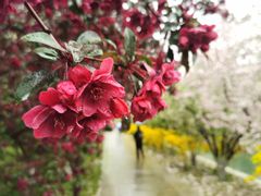 -元大都城垣遗址公园