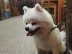 -林坑古村落