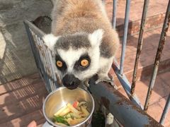 -无锡动物园·太湖欢乐园