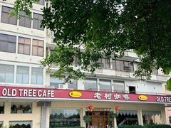 -OLD TREE老树咖啡·西餐厅(台山人工湖店)