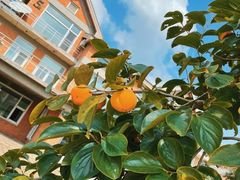-北马山庄植趣咖啡