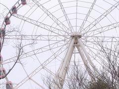 -顾村公园