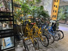 -大视光学•LINDBERG林德伯格•全球手工眼镜集合店(王府井店)