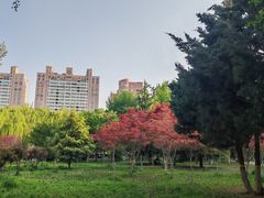 -西清公园
