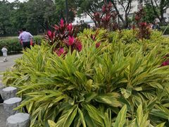 -晓港公园