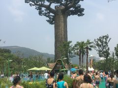 -苏州乐园森林水世界