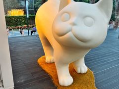 -深圳湾万象城(南山店)