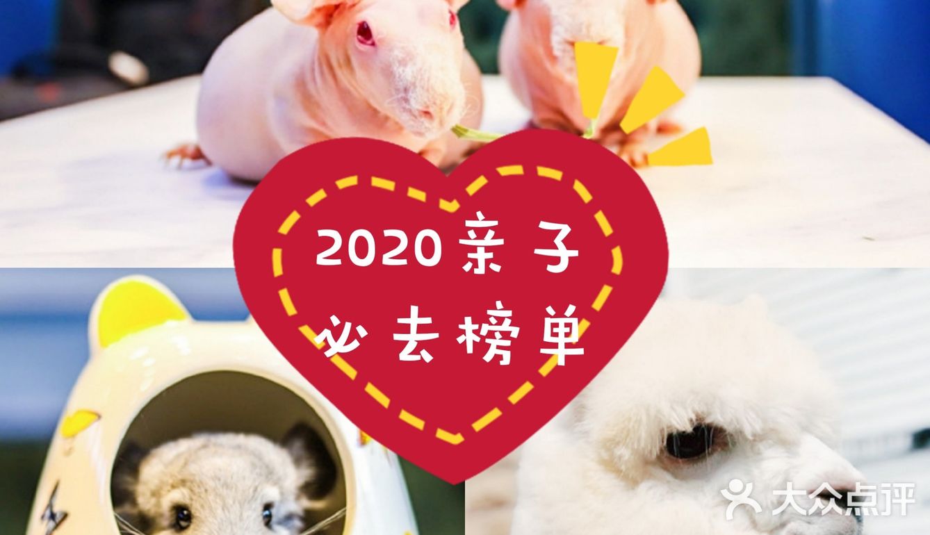 上海遛娃好去处‼️新柒宠[礼花]