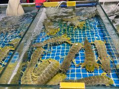 -三亚火车头万人海鲜广场