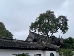-豫园