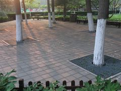 -康庄公园
