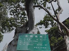 -昆明市金殿名胜区