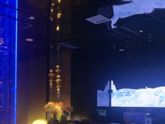 -墨锦轩·5D影院足浴·SPA(高新店)