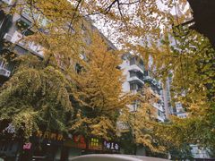 -37号老院坝抄手(马王庙37号院店)