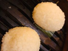 茨毛圆子-双塔老饭店