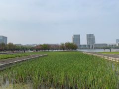 -尚贤河湿地