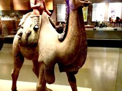 -西安大唐西市博物馆