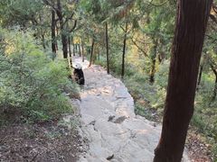 -佛慧山