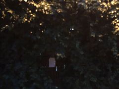 -斯多格书乡(北京大学畅春园店)