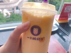 芒来芒趣-一只酸奶牛(八一路店)